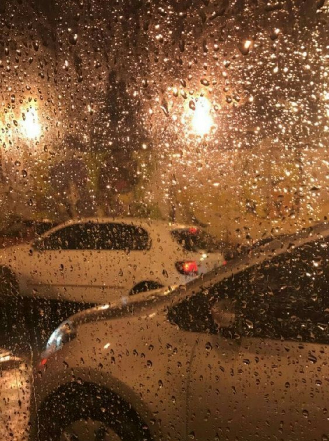 صورة المنشور