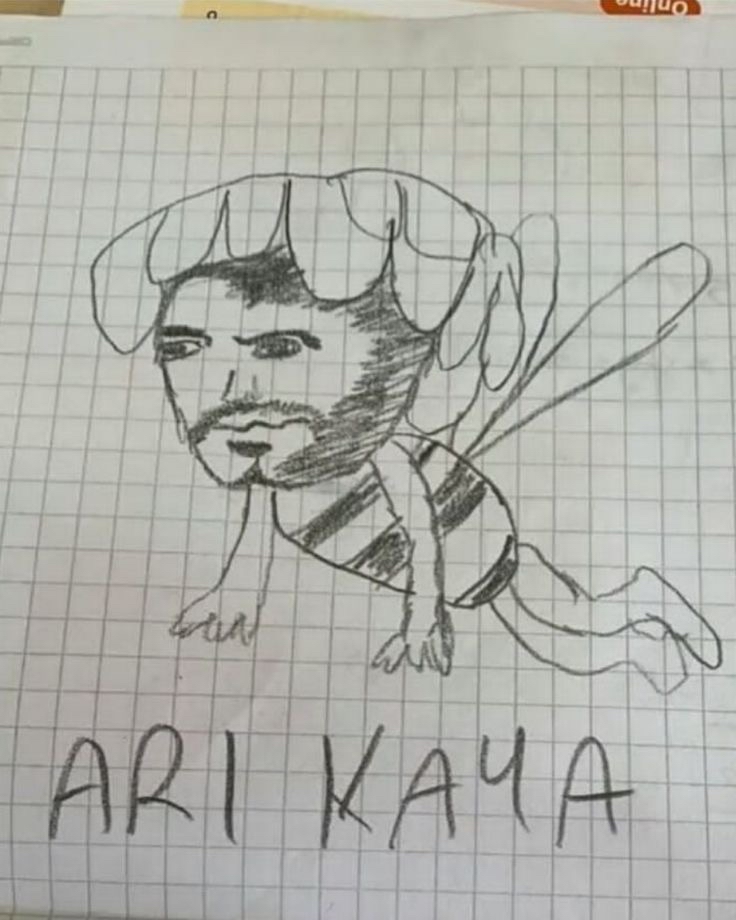 صورة المنشور