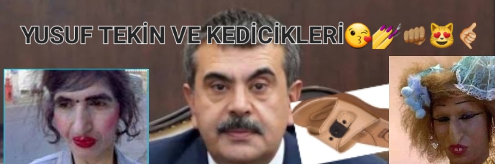 Gönderi görseli