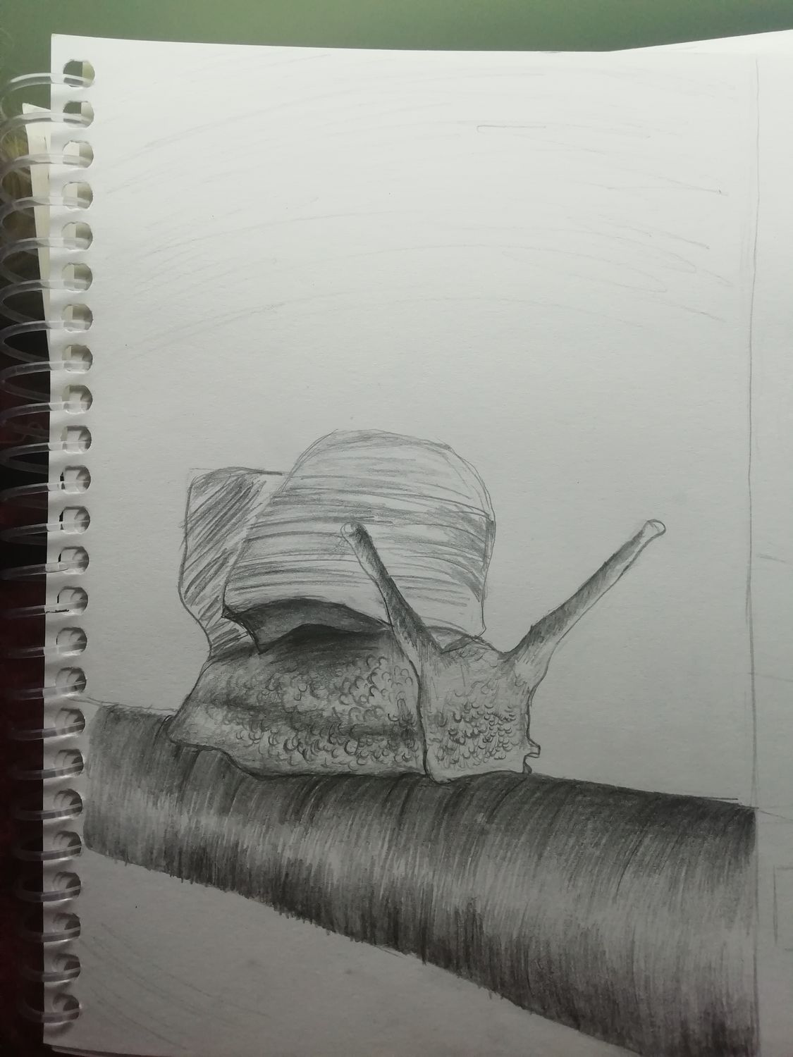 صورة المنشور