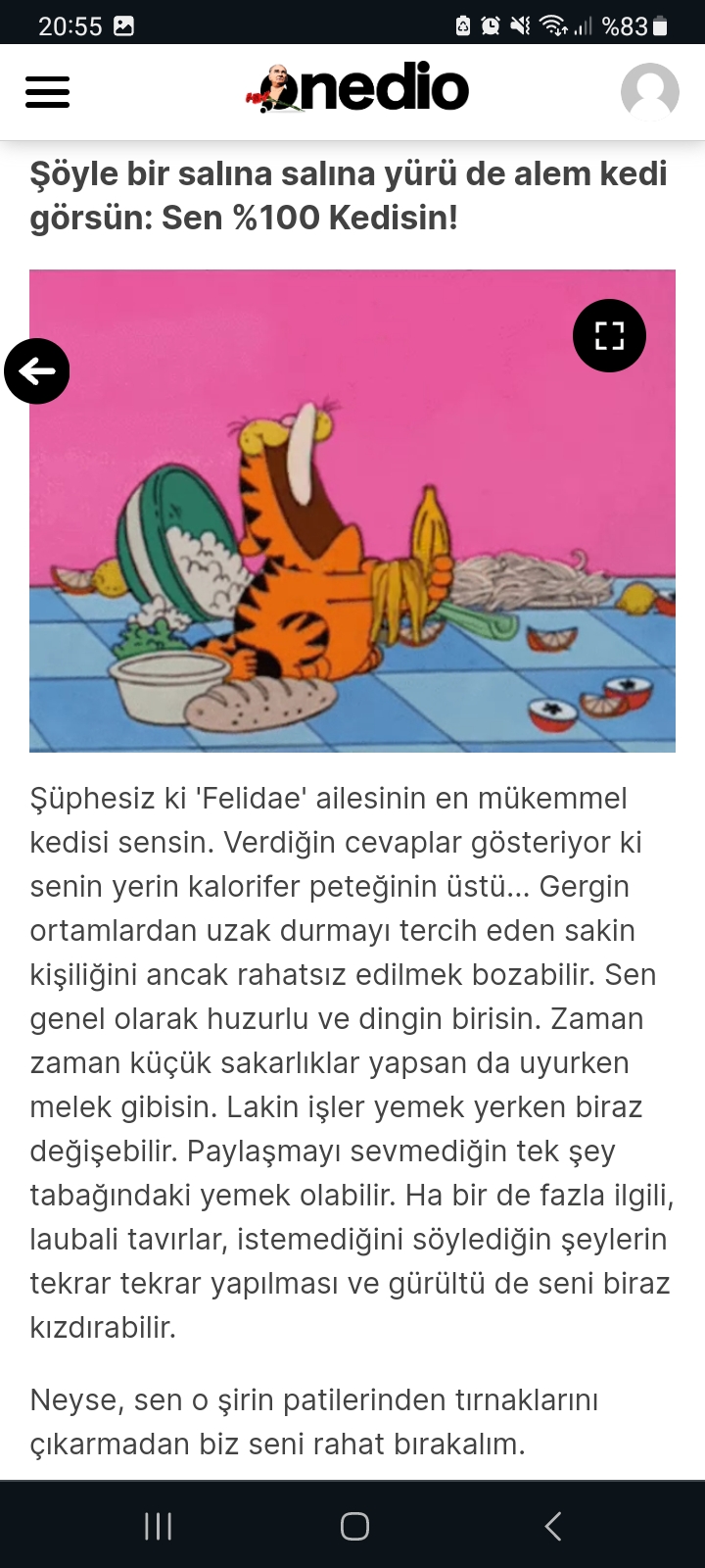 Gönderi görseli