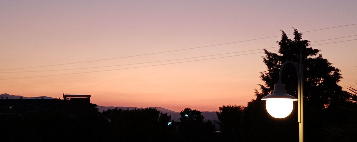 صورة المنشور