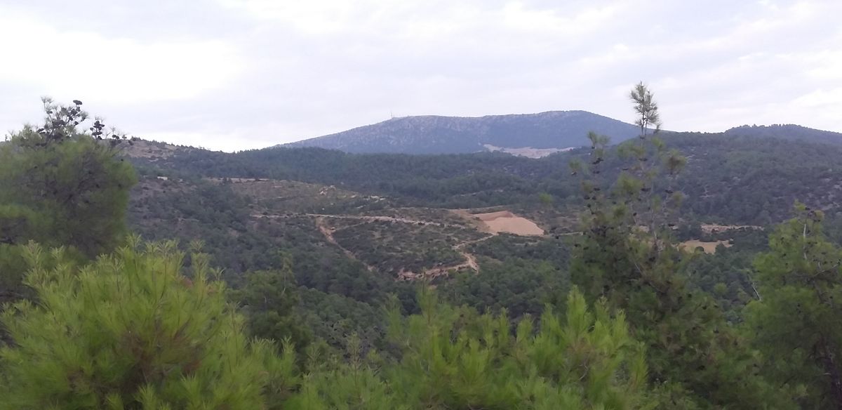 Gönderi görseli