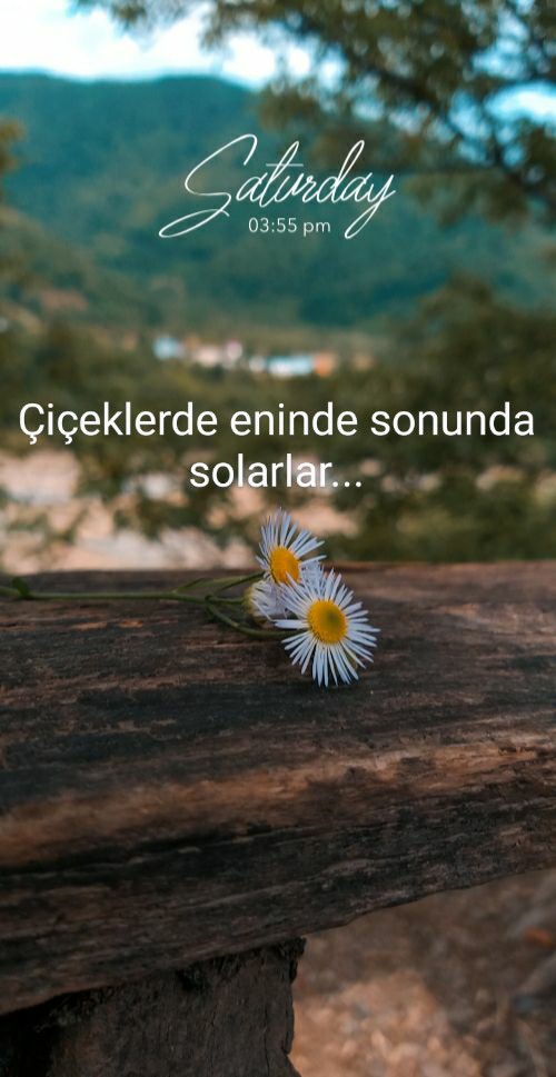 Gönderi görseli