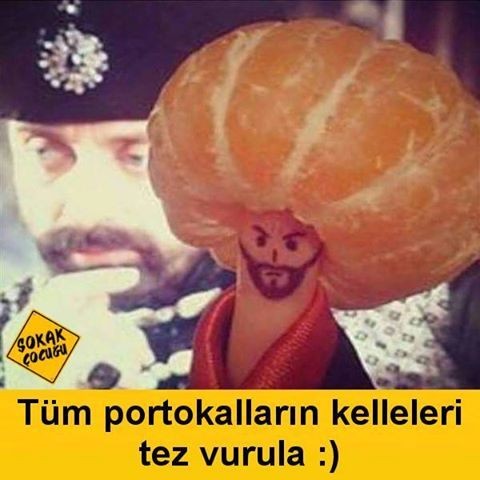 صورة المنشور