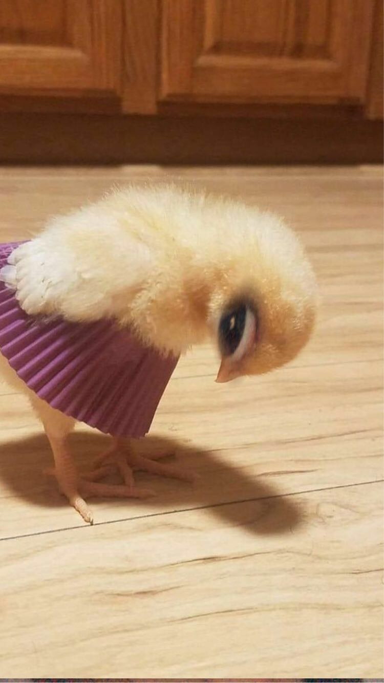 Gönderi görseli