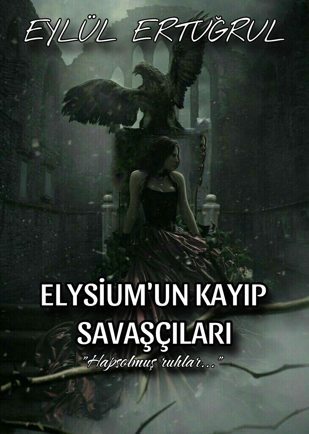 Gönderi görseli