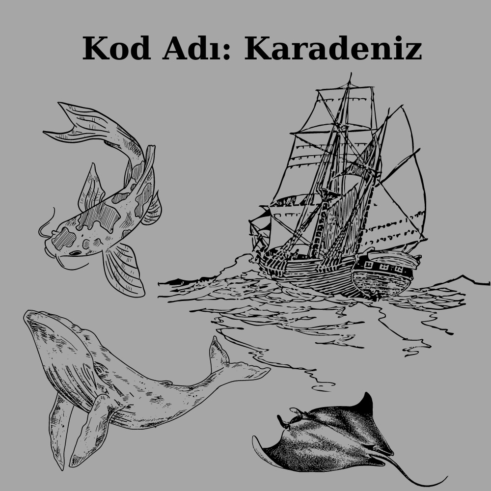 Gönderi görseli