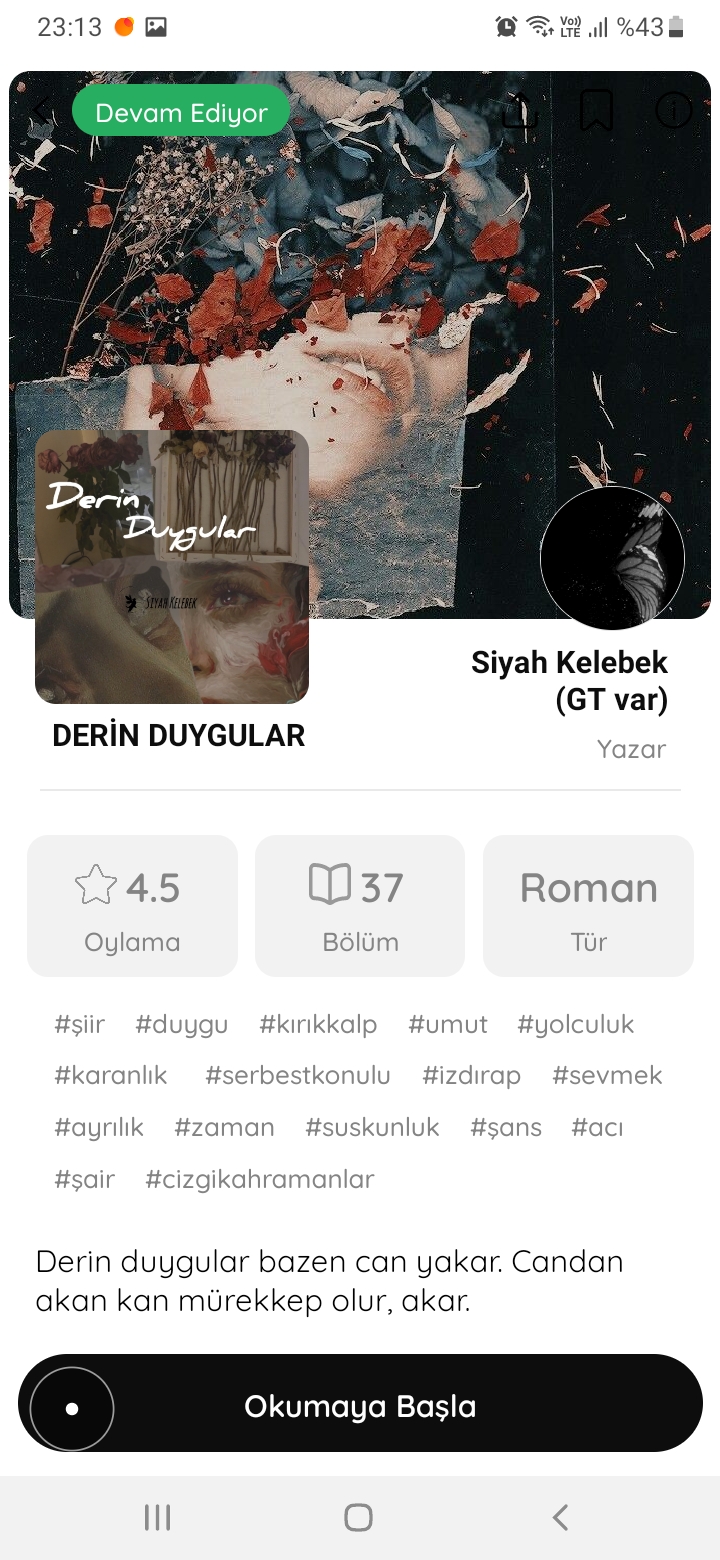 Gönderi görseli