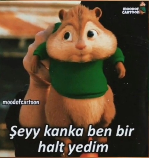 Gönderi görseli