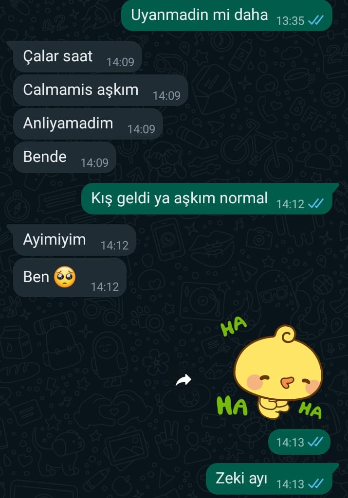 Gönderi görseli