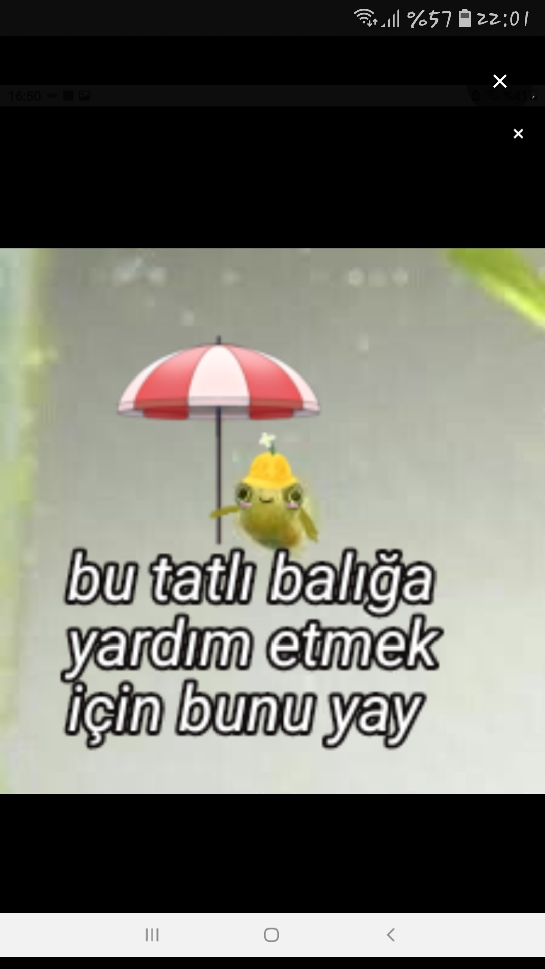 Gönderi görseli