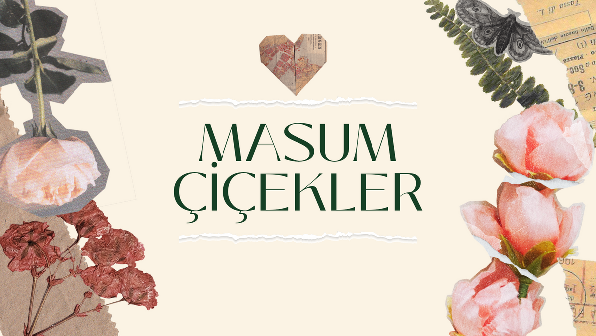 Gönderi görseli