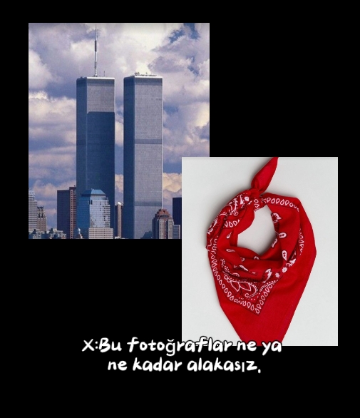 صورة المنشور