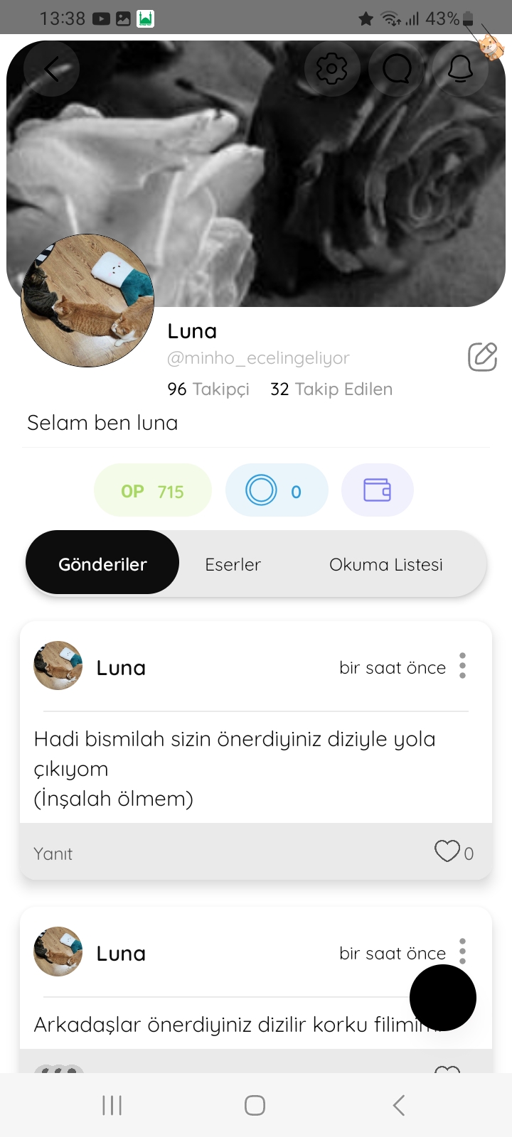 Gönderi görseli