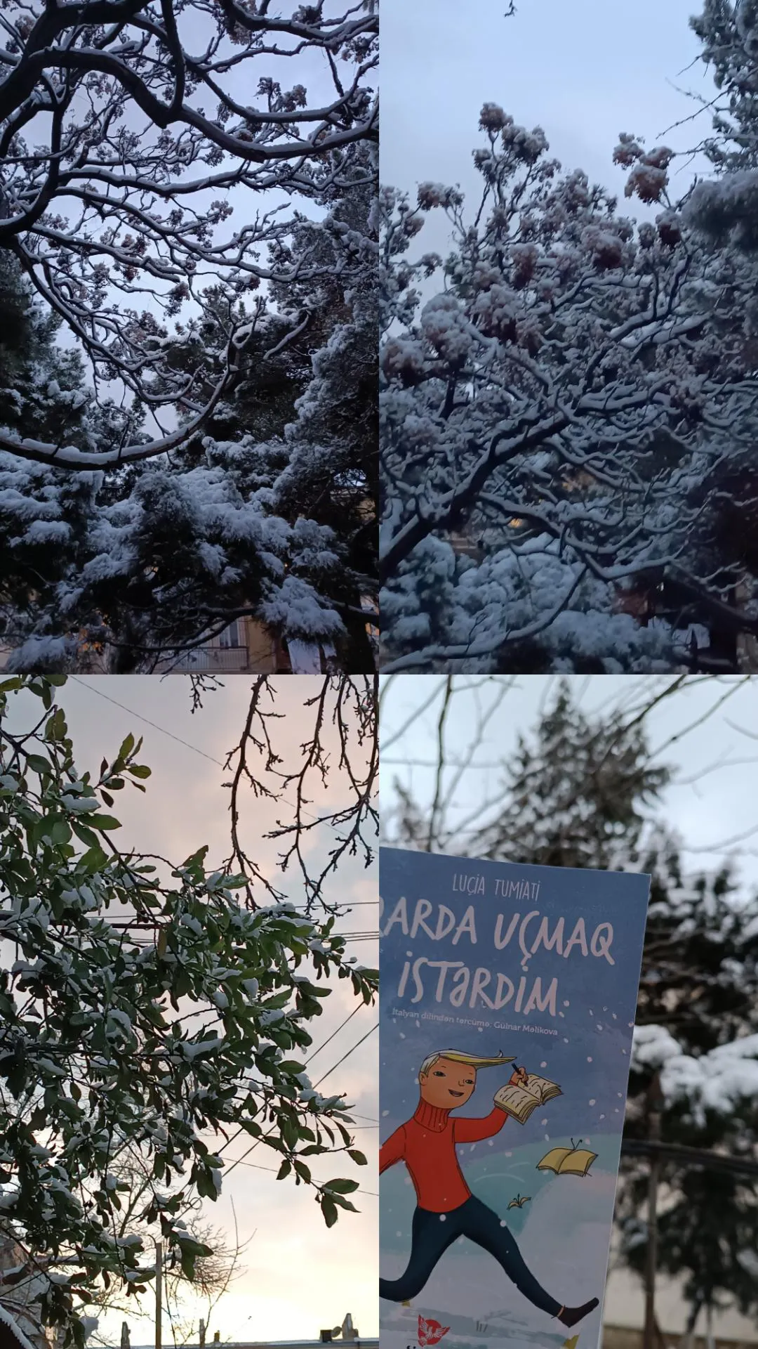 Gönderi görseli