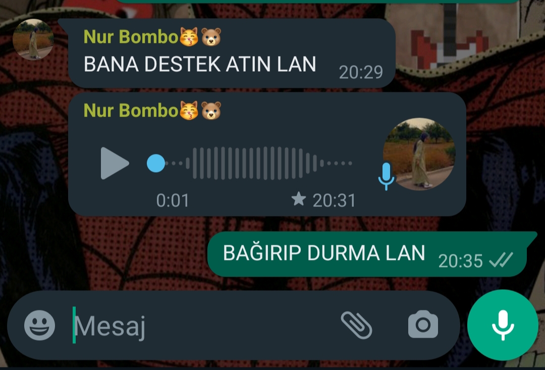 Gönderi görseli