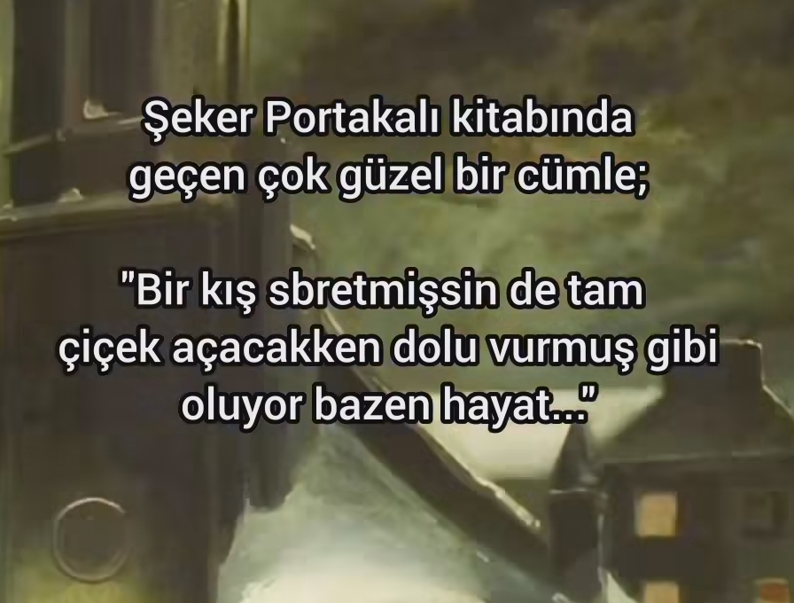 Gönderi görseli