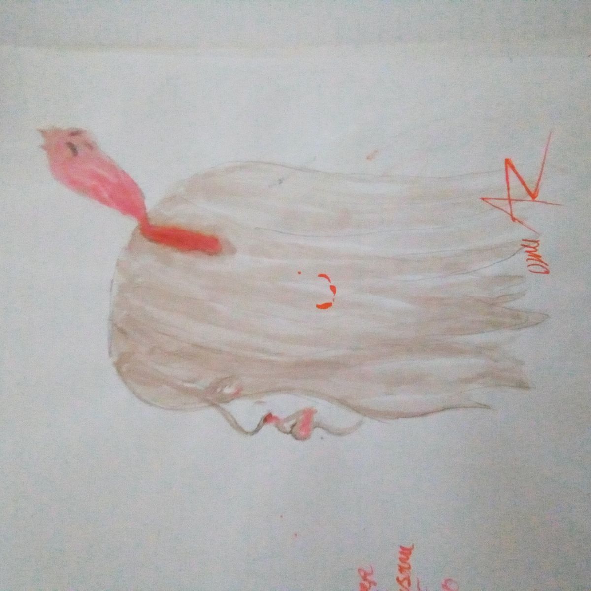 Gönderi görseli
