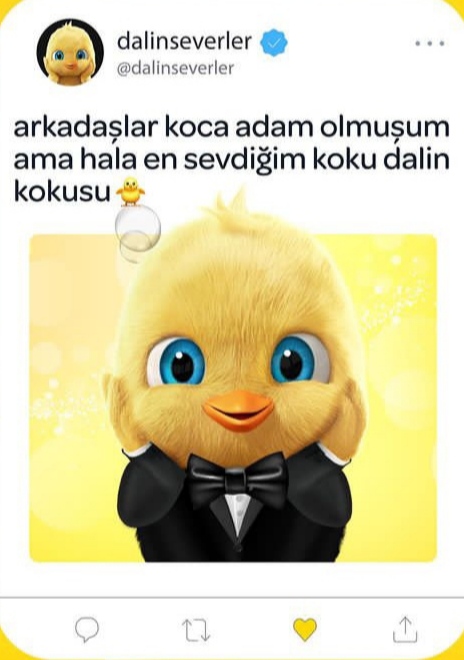 Gönderi görseli