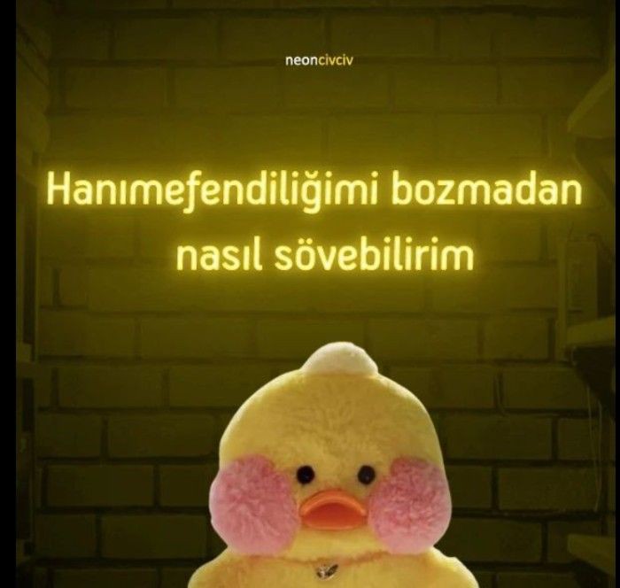 Gönderi görseli