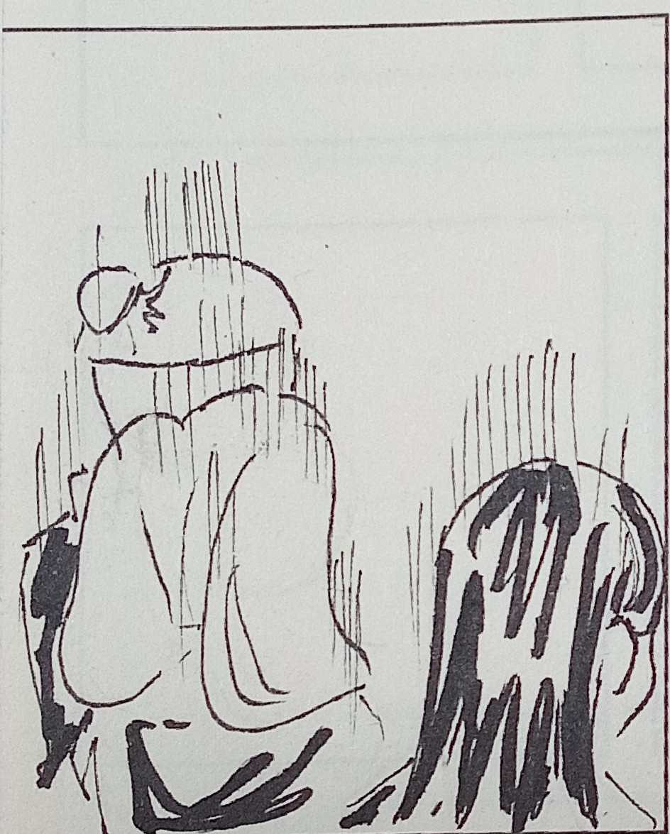 صورة المنشور