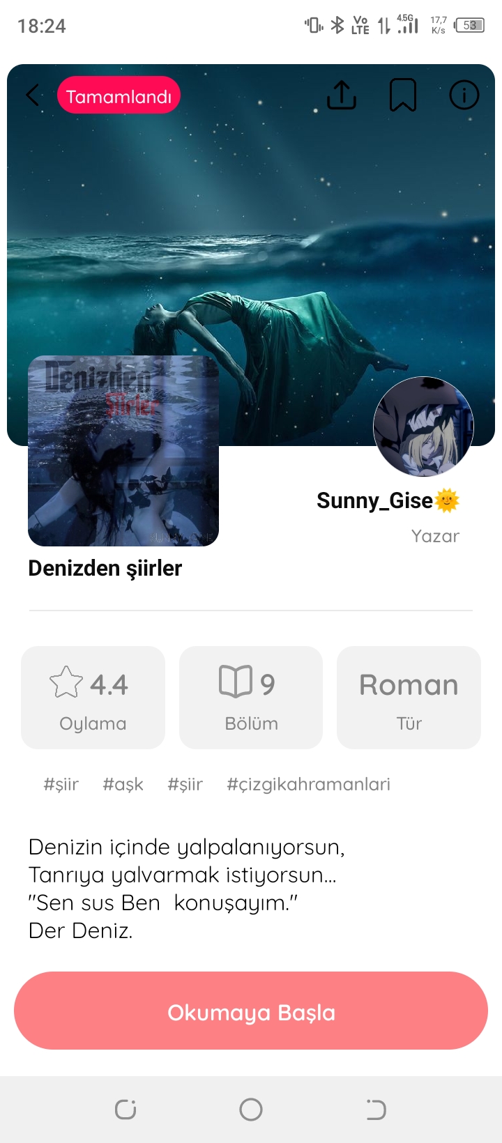Gönderi görseli