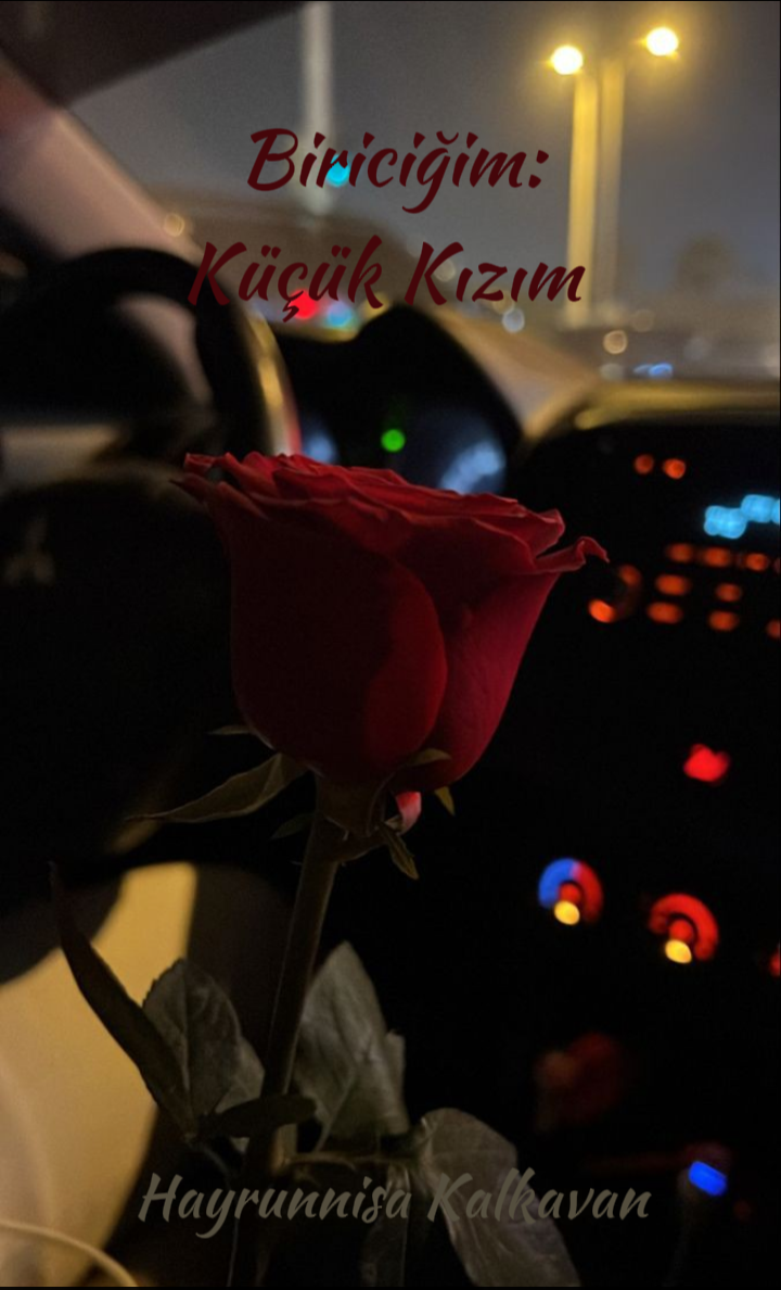 Gönderi görseli