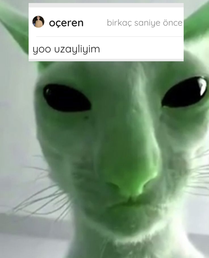 Gönderi görseli