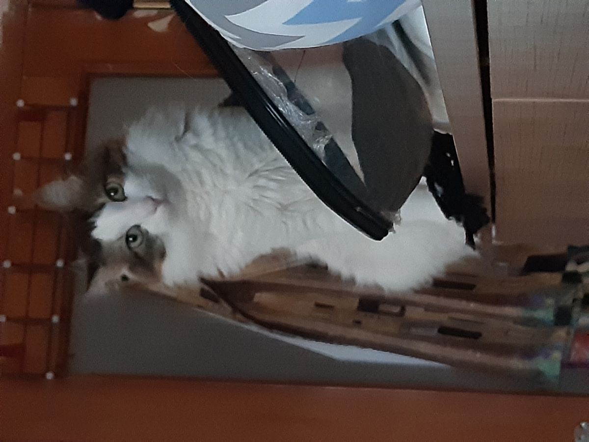 Gönderi görseli