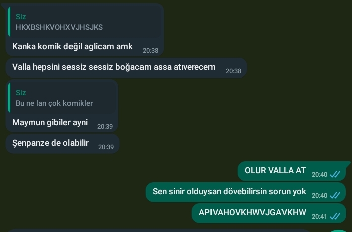 Gönderi görseli