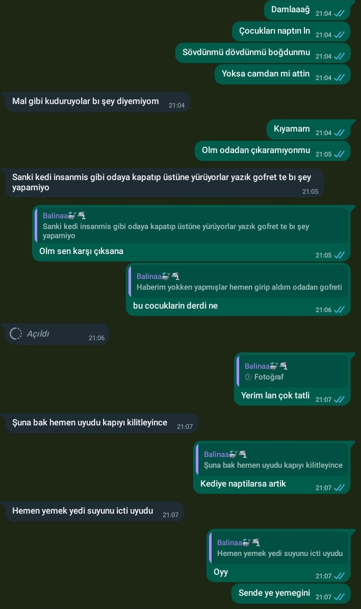 Gönderi görseli