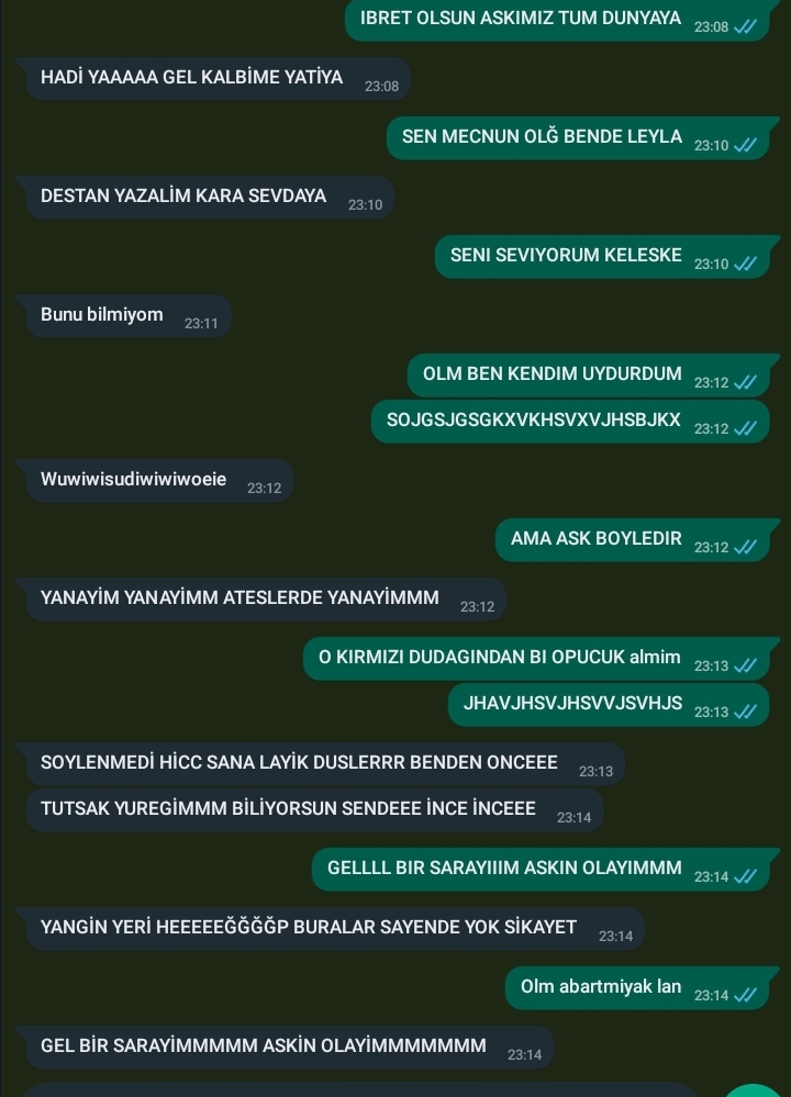 Gönderi görseli