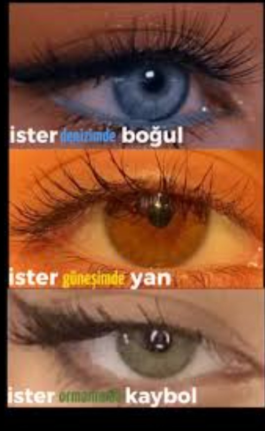Gönderi görseli