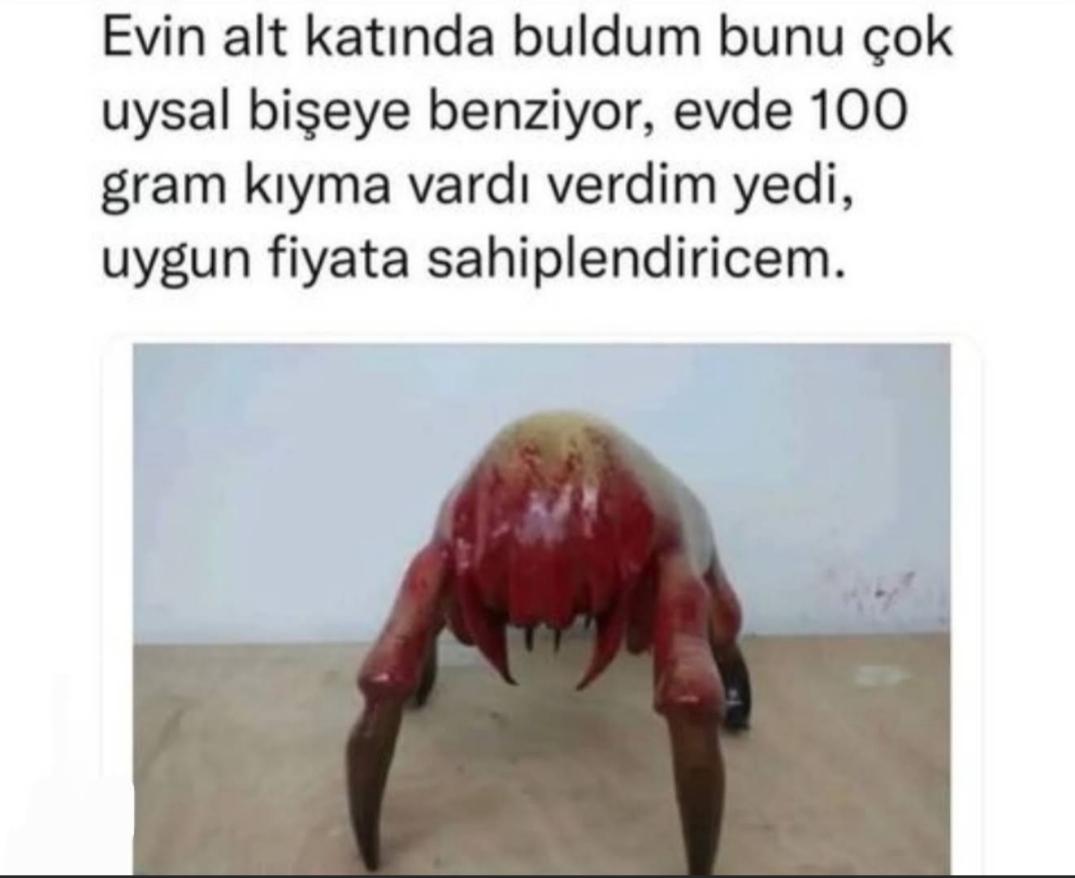 Gönderi görseli