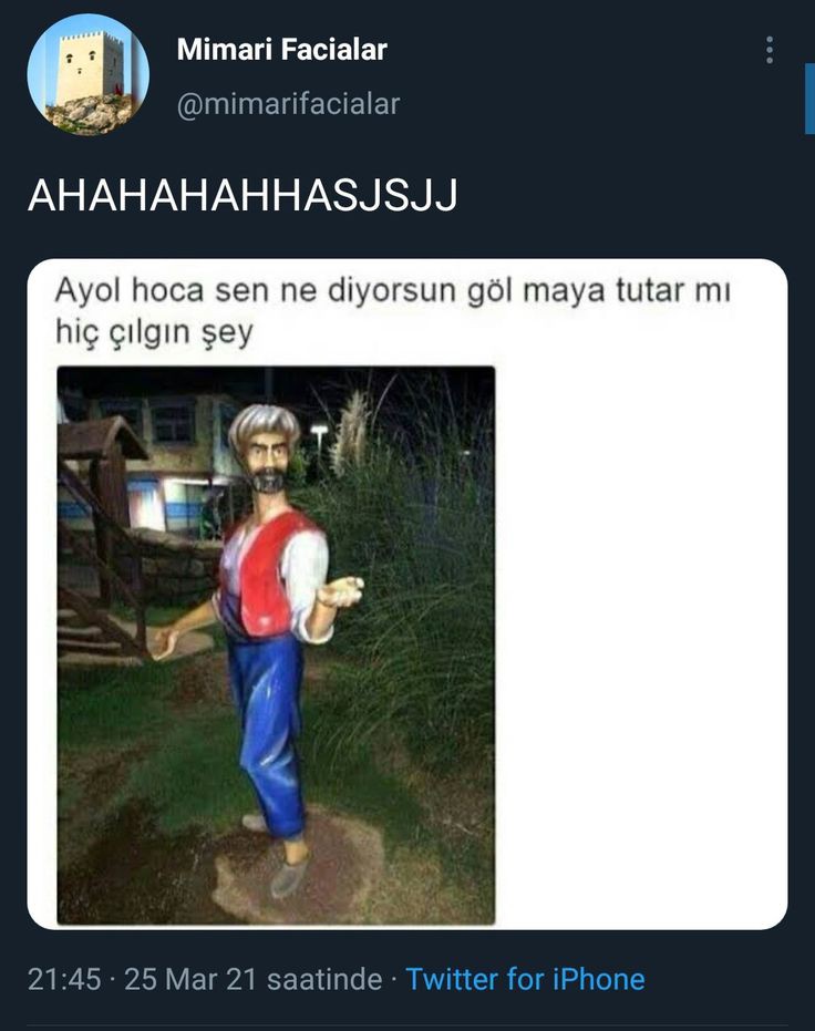 صورة المنشور