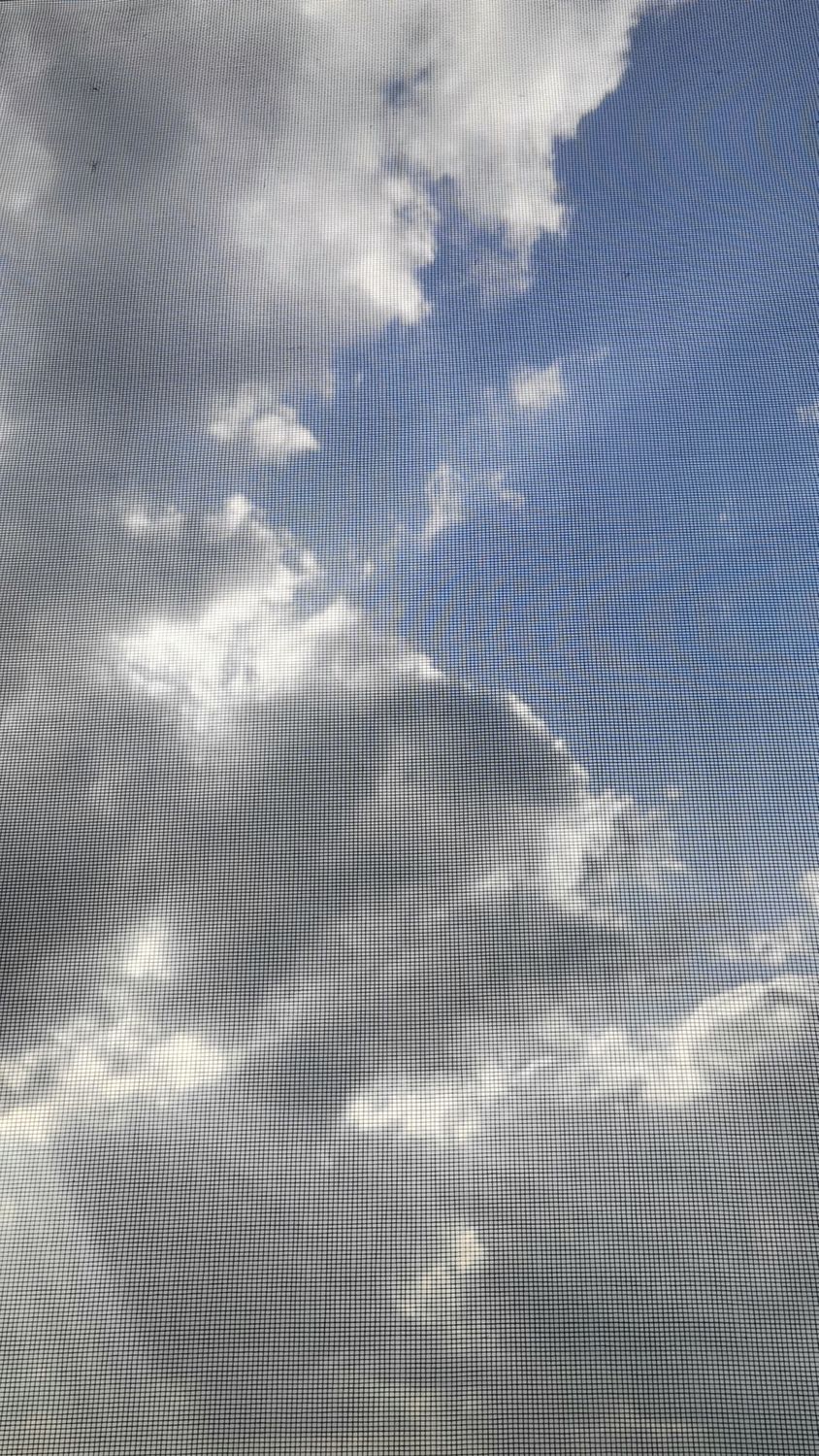 صورة المنشور