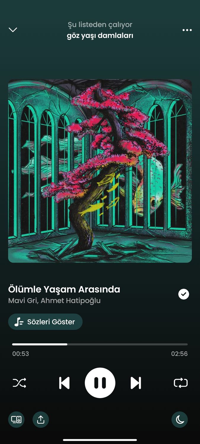 Gönderi görseli