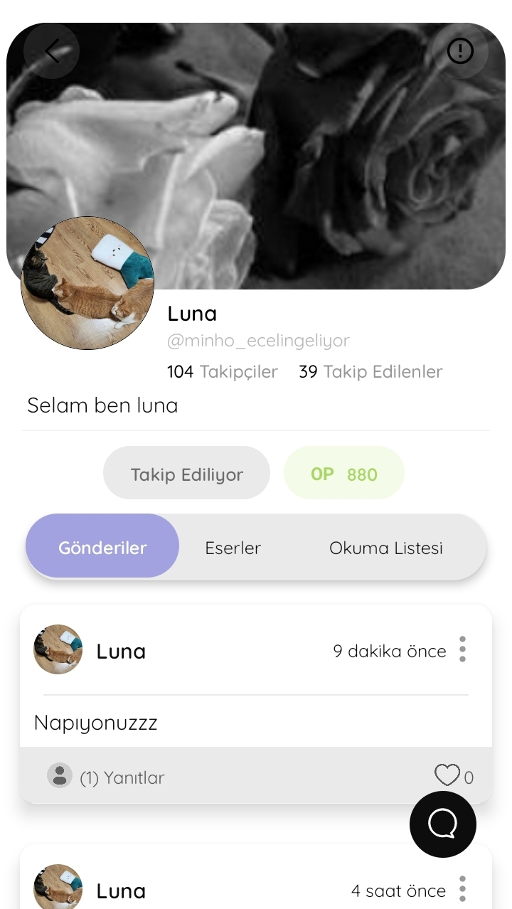 Gönderi görseli