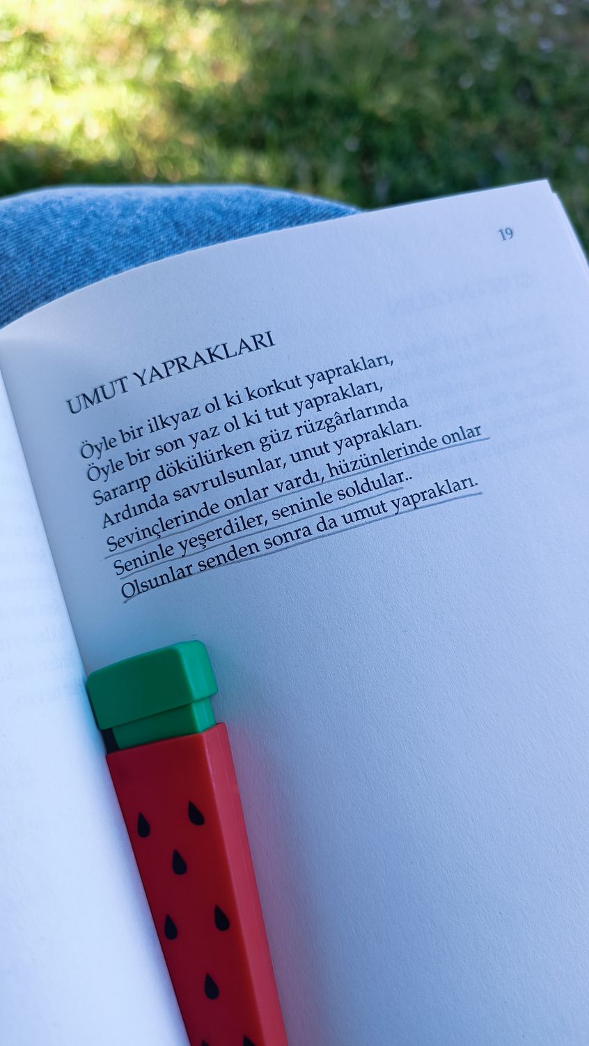 Gönderi görseli