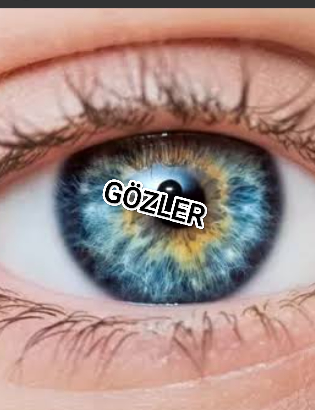 Gönderi görseli