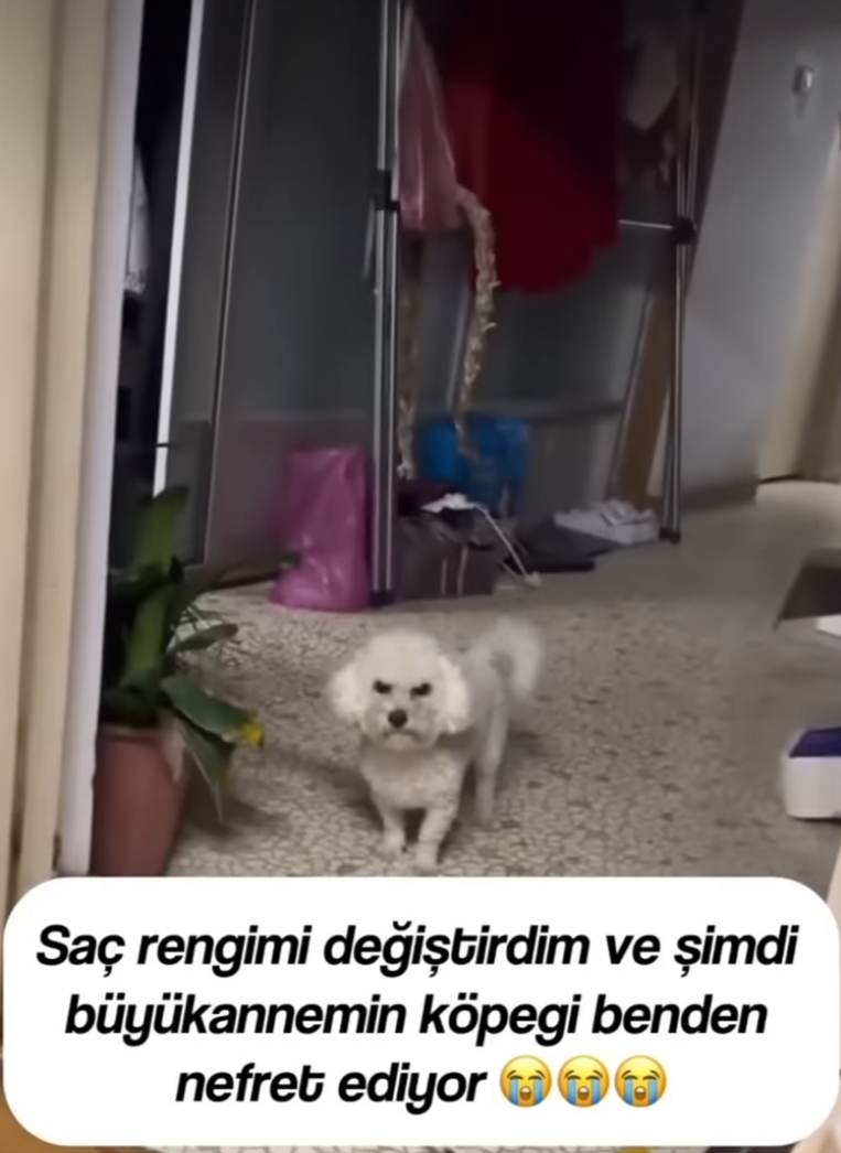 Gönderi görseli