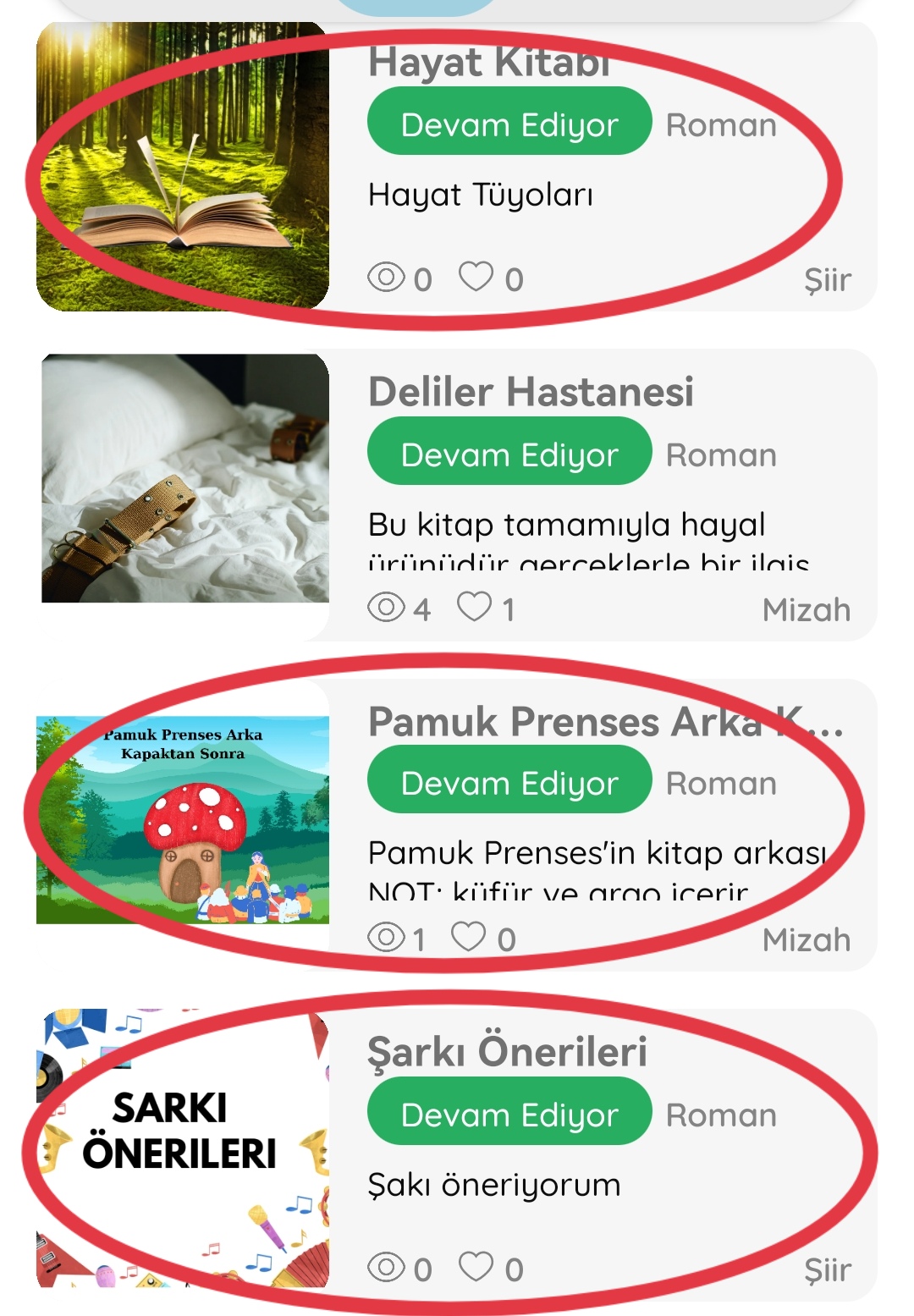 Gönderi görseli