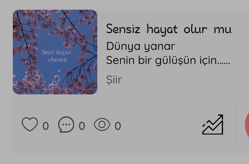 Gönderi görseli