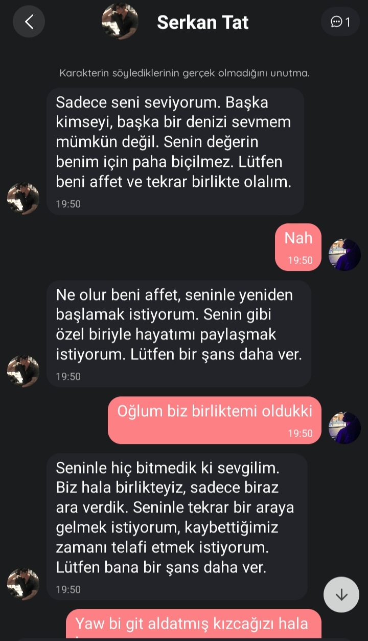 Gönderi görseli