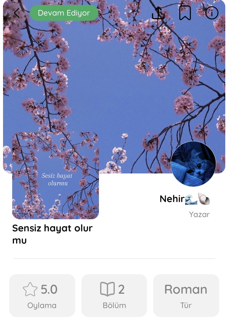 Gönderi görseli