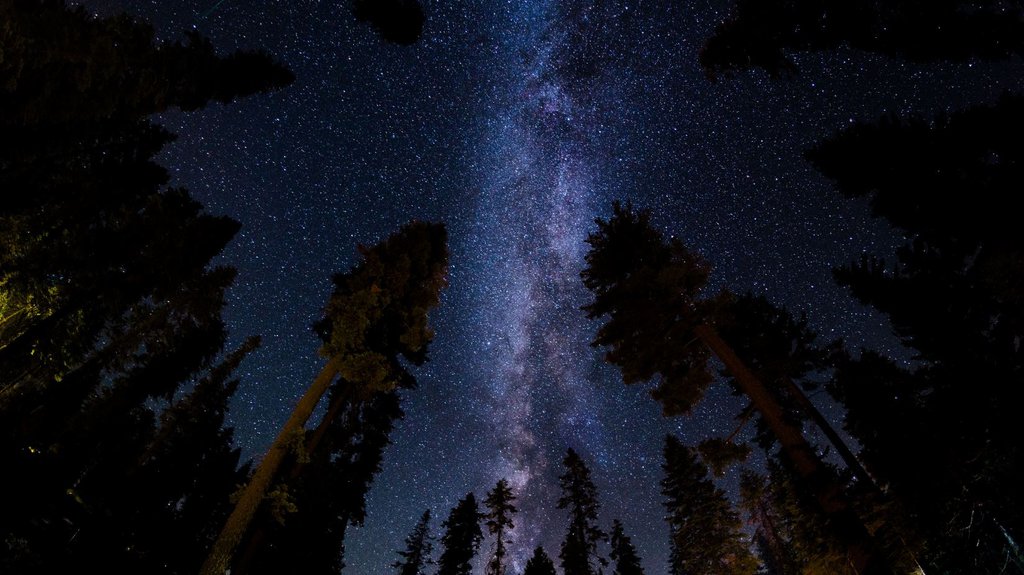 صورة المنشور
