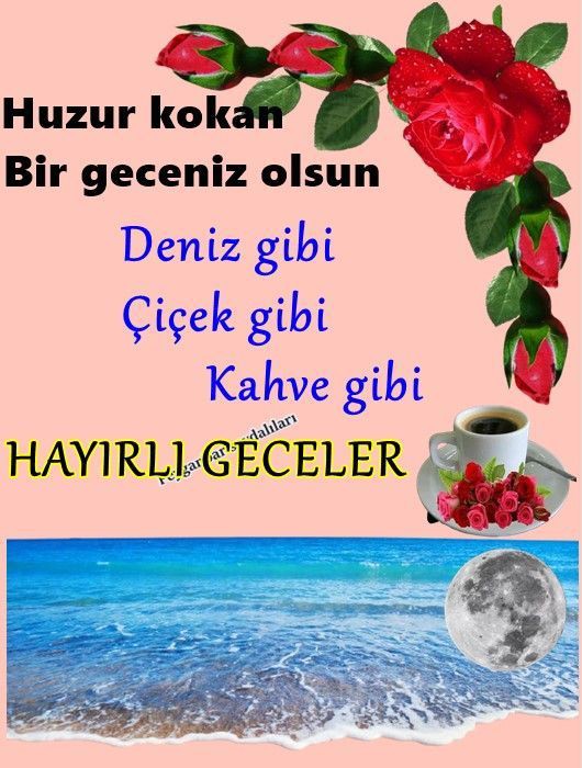 Gönderi görseli