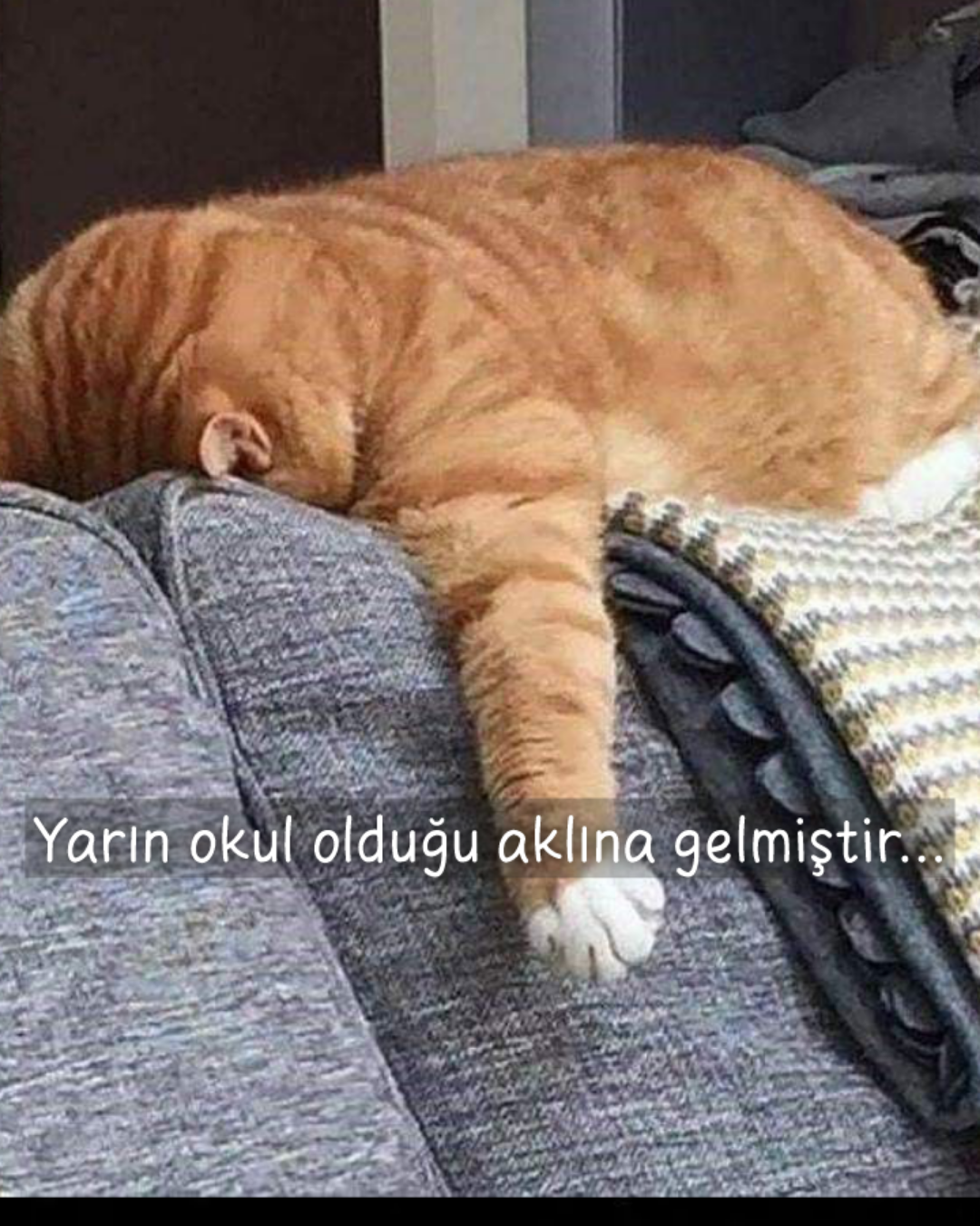 Gönderi görseli