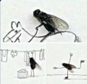 صورة المنشور
